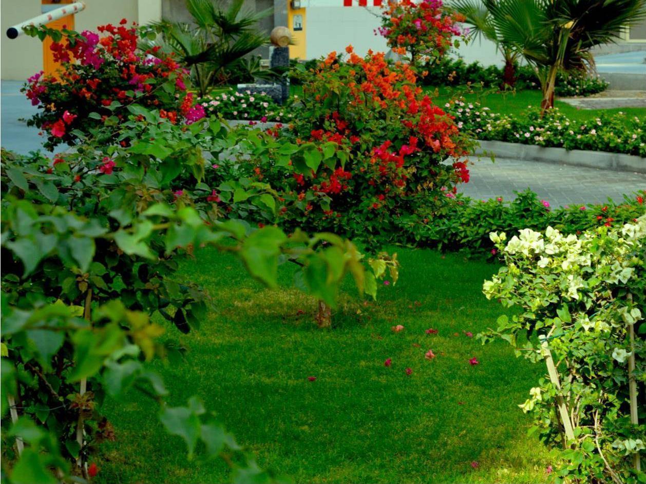Home To Home Apartments Dubai Esterno foto
